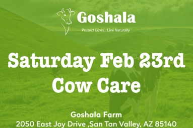 Connect with AZGoshala Cows