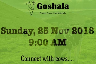 Connect with AZGoshala Cows