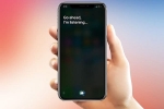 siri online, siri online, apple reveals its contractors are regularly listening to your conversations with siri, Apple iphones 5c