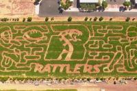 Corn Maze and Fall Festival
