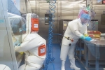Covid-19, Andrew Huff breaking updates, covid 19 was a man made virus claims an american scientist, Andrew huff