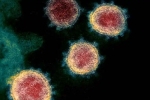 Covid-26, Coronavirus latest updates, face covid 26 and covid 32 warns experts, Wildlife