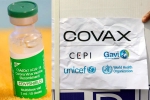 Covishield new updates, COVAX, sii to resume covishield supply to covax, Exports