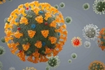 Delta plus study, Delta plus severity, all you need to know about the new delta plus variant of coronavirus, Csir