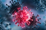 USA Coronavirus news, USA Coronavirus new cases, delta variant makes usa tensed again, Covid 19 patients