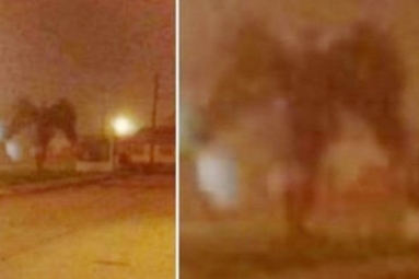 Arizona man clicked a Demon?