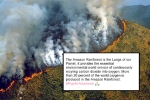 amazon rainforest map, fire at amazon rainforest, in pictures devastating fires in amazon rainforest visible from space, Npt
