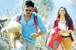 Surendar Reddy, Ramcharan updates, dhruva turns first million dollar film for charan, Usa market Surendar Reddy, Ramcharan updates, dhruva turns first million dollar film for charan, Usa market