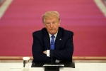 Impeachment, Donald Trump, donald trump impeachment ii the sequel, Impeachment