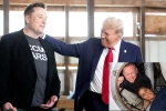 Donald Trump news, Elon Musk, donald trump seeks elon musk s help, Dragon capsule Donald Trump news, Elon Musk, donald trump seeks elon musk s help, Dragon capsule