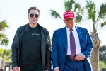 Donald Trump latest, Donald Trump, donald trump finally addresses rumors about elon musk, Phoenix s