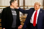 USA Elections 2024, Donald Trump updates, donald trump s praise for musk s starlink, Usa elections 2024