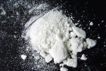 India news, India news, indian national charged with smuggling drugs into us, Preet bharara
