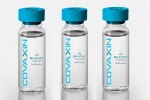 WHO, EUL for Covaxin news, who delays the eul decision on covaxin, Oxford university