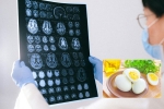 Eggs and Alzheimer’s tips, Eggs and Alzheimer’s tips, eggs may help prevent alzheimer s study, Study