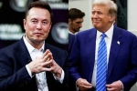 Elon Musk and Donald Trump breaking, USA, elon musk s big bet on donald trump, Crypto
