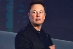 Elon Musk, Twitter, elon musk talks about cage fight again, Charity