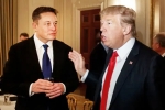 Donald Trump's Campaign, Elon Musk for Donald Trump, elon musk donates for donald trump s campaign, Crypto