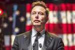 Elon Musk in Trump Cabinet, Elon Musk - Donald Trump, is elon musk in the trump cabinet, Mindset