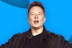 Elon Musk email, Twitter, elon musk s new ultimatum to twitter staffers, Tesla