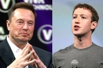 Elon Musk and Mark Zuckerberg, Elon Musk and Mark Zuckerberg breaking, elon vs zuckerberg mma fight ahead, Tech giants