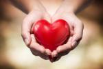 Facts about heart, heart diseases, what you know about heart, Know your heart