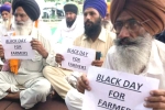 wholesale markets, farmers, why farmers and politicians are against modi s farm laws, Modi government