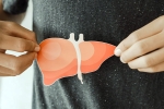 Fatty Liver: An Alarming Rise among Children