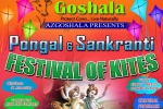 AzGoshala, AzGoshala, festival of kites pongal sankranti, Thanksgiving