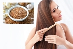 Flaxseeds for hair health, Flaxseeds for hair, how flaxseeds can help for a long and healthy hair, Cakes