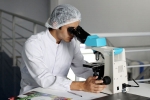 mbbs in abroad without neet 2019, MBBS, why indians with foreign mbbs fail to get licensed in home country, Quora