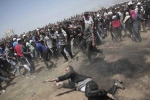 Palestinians fired by Israel forces, Palestinians fired down in gaza, palestinians shot dead after bloodiest gaza day on relocating us embassy, Israel forces