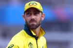 Glenn Maxwell news, Glenn Maxwell controversy, australian cricketer glenn maxwell s shocking drinking session, Glenn maxwell
