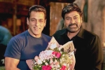 Chiranjeevi Salman Khan updates, Chiranjeevi Salman Khan announcement, official god father team confirms salman khan s cameo, Lucifer remake