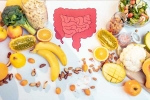 Gut Health new tips, Gut Health new tips, how to maintain good gut health, Good gut health