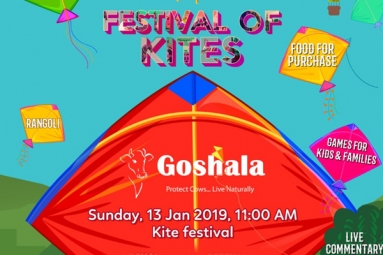 Festival of Kites - Goshala
