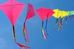 Kite Festival 2019 in Swaminarayan Gurukul, AZ Event, kite festival 2019, Rajkot