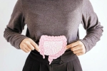Gut Vs Skin new breaking, Gut Vs Skin news, your gut decides about your skin, Gurugram