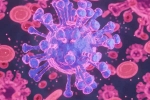 HMPV Virus case health, HMPV Virus case breaking, first hmpv virus case detected in india s bengaluru, Karna