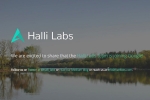 artificial intelligence, Halli Labs, google acquires ai start up halli labs, Halli labs