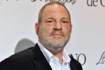 Harvey Weinstein, British Film Institute, uk probe into harvey weinstein s sexual assaults widens with seven women, Gwyneth paltrow