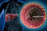 Hepatitis C, Hepatitis C virus, good news india may soon get treatment for hepatitis c, Lower breast cancer risk Hepatitis C, Hepatitis C virus, good news india may soon get treatment for hepatitis c, Lower breast cancer risk