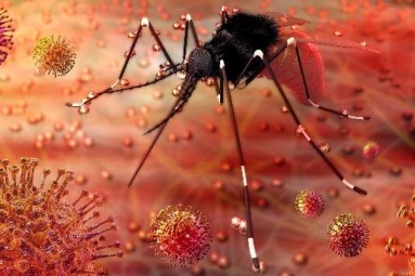 India's first Zika virus infection reported in Kerala