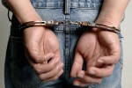 India news, Indian-origin pleaded guilty to money laundering, indian origin pleaded guilty to money laundering, Insurance company