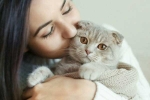 cats pets, Cat Owner, international cat day reasons why being a cat owner is good for health, Cat owner