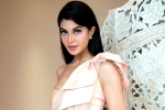 Jacqueline Fernandez new updates, Jacqueline Fernandez, jacqueline fernandez files complaint against sukesh chandrashekhar, Money