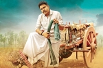 Katamrayudu updates, Dolly, katamrayudu teaser release date, Katamrayudu Katamrayudu updates, Dolly, katamrayudu teaser release date, Katamrayudu
