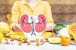 Kidneys Health India, Kidneys Health, how to keep your kidneys healthy, Microwave