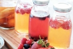 Kombucha and Fermented Foods health updates, Kombucha and Fermented Foods breaking, health benefits of kombucha and fermented foods, Anxiety