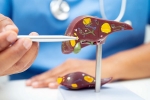 Liver Health factors, Liver Health news, factors that worsens your liver health, Obesity